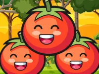 Tomato Ketchup image