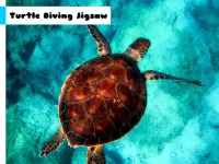 Turtle Diving Jigsaw image