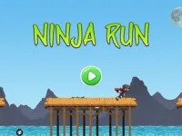 Ninja Run Adventure image