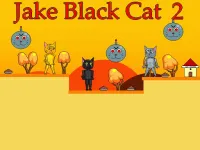 Jake Black Cat 2 image