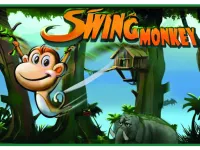 Monkey Swing image