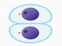 Cutting master image