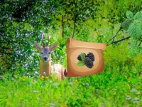 Return To Alsunga Forest image