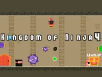 Kingdom of Ninja 4 image