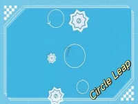 CircleLeap image