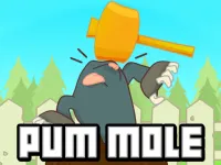 Pum Mole Whack a Mole image