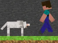 Steve and Wolf image