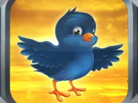Bird Fly image
