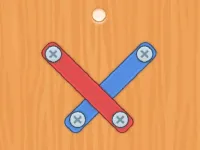 Nuts Bolts Screw Puzzle image