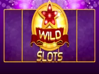 Wild Slot image