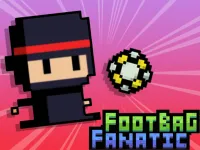 Footbag Fanatic image