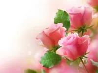 Pink Roses Puzzle image