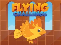 Flying Challenge image