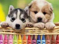 4GameGround - Puppy Coloring image