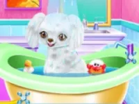 My New Poodle Friend - Pet Care Game image