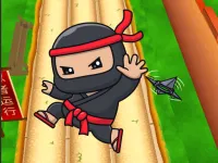 Nano Ninjas image