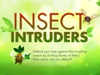 Insect Intruders image