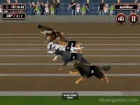 Crazy Dog Racing Simulator Games 3D image