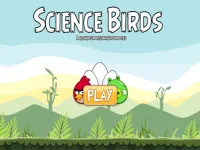 Science Birds image