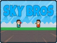 Sky Bros image