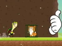 Animal Turtle Saver image