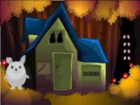 Rescue the kangaroo image