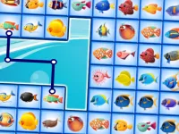 Fish Connections image