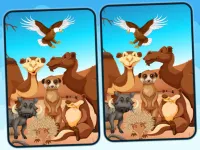 Spot 5 Differences Deserts image