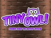 Tiny Owl image