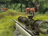 Sniper Hunting Deadly Animal image