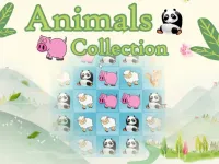 Animals Collection image