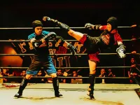 Fighters in the Ring image