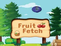 Fruit Fetch image