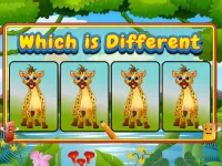 Which Is Different Animal image