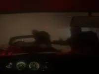 Spooky Jungle Safari image