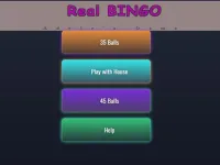 BINGO Real image
