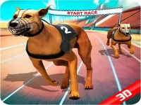 Crazy Dog Race image