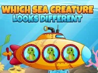 Which Sea Creature Looks Different image