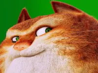 The Amazing Maurice Card Match image