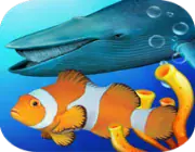 Aquarium