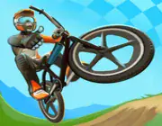 Stunt